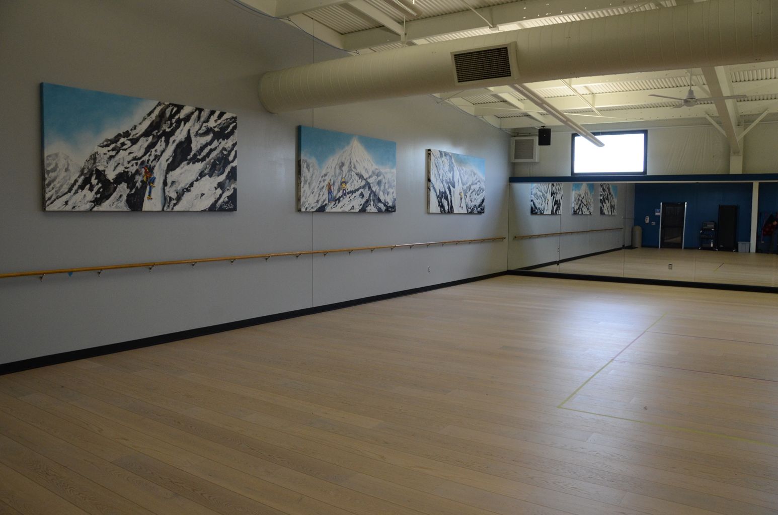 Wellness Studio Bars Jpg